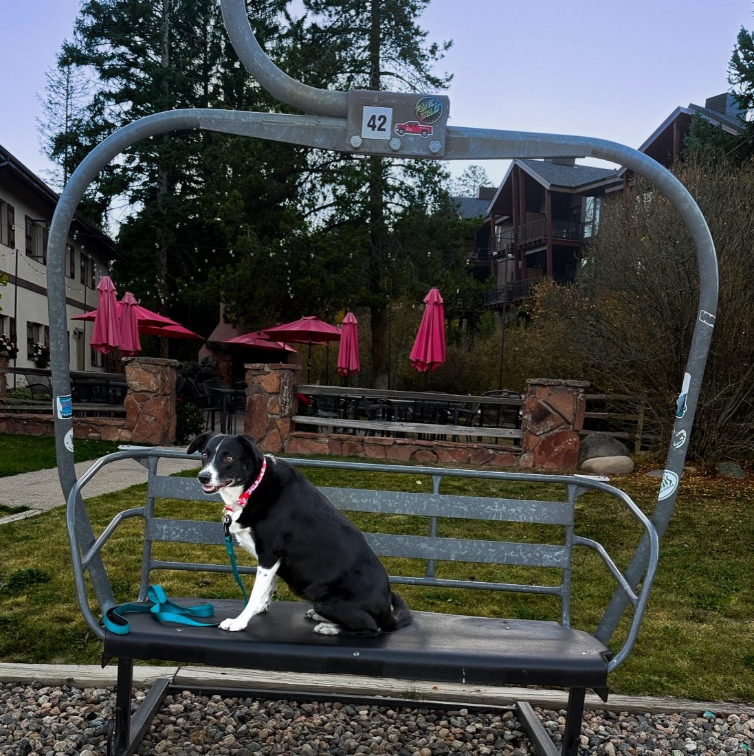 Mouse sitting on an old chairlift bench